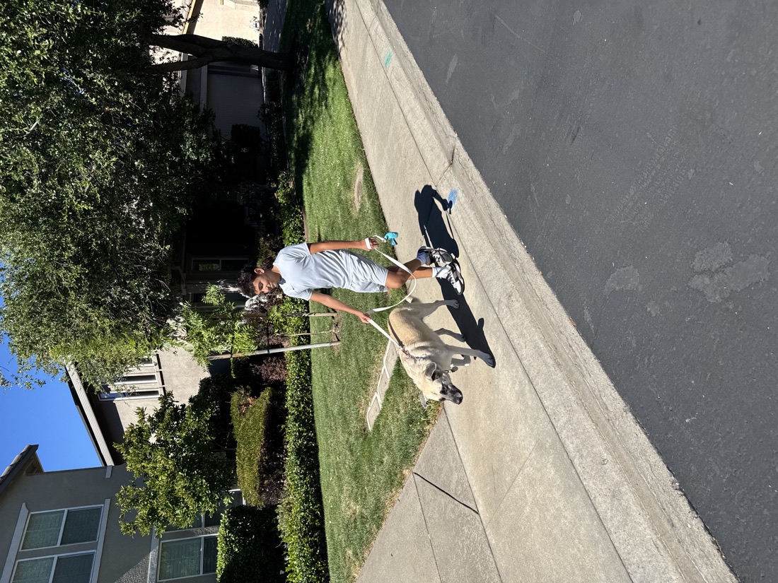 Daniel walking a leashed dog on a sidewalk in the Serrano neighborhood